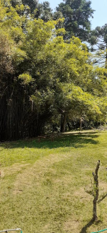 Pousada Pedacinho Do Ceu- Chale 1 Cunha Dış mekan fotoğraf